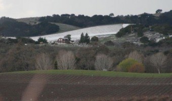 Paso Robles Vineyards