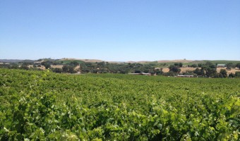 Paso Robles