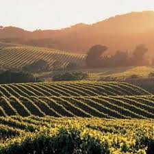 Paso Robles Wine Country