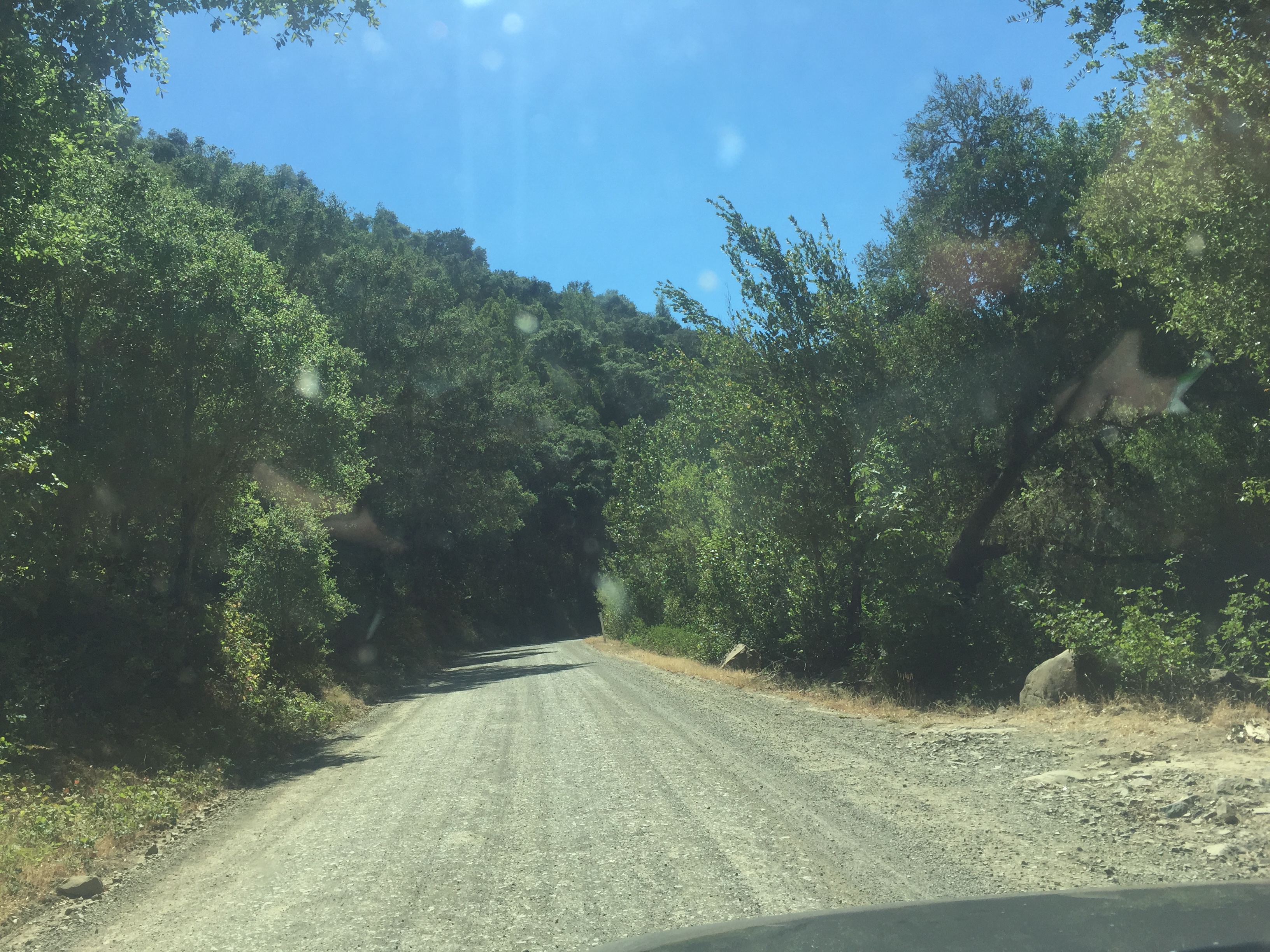 Super Fun Dirt Road