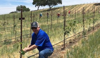 Q&A with Jim Saunders from Hearst Ranch Winery