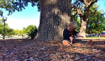 In the Park